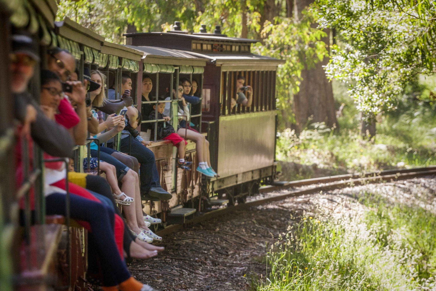  Healesville Sanctuary & Puffing Billy Day Tour