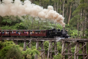  Healesville Sanctuary & Puffing Billy Day Tour