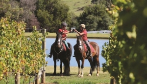 Things to do on the Mornington Peninsula