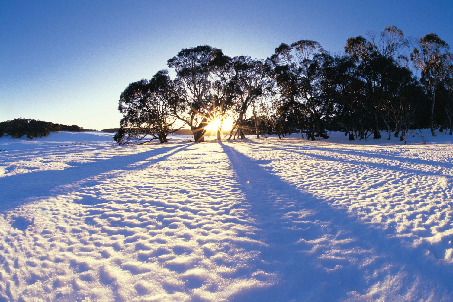 снег в австралии