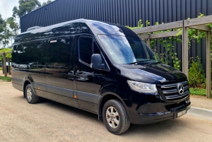 Luxe Bus Great Ocean Road Coastal Spectacular