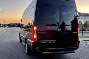 Luxe Bus Great Ocean Road Coastal Spectacular