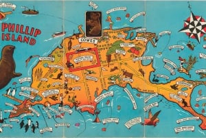 Luxury Phillip Island Tour for Families & Explorers 10 Max