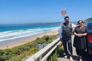 Luxury Private Great Ocean Road Tour – Up to 14 Guests