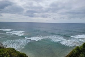 Luxury Private Great Ocean Road Tour – Up to 14 Guests