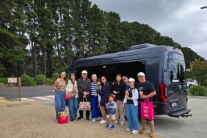 Luxury Private Great Ocean Road Tour – Up to 14 Guests