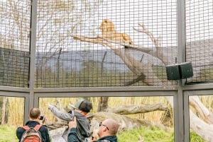 Melbourne: 1-Day Entry Ticket to Melbourne Zoo