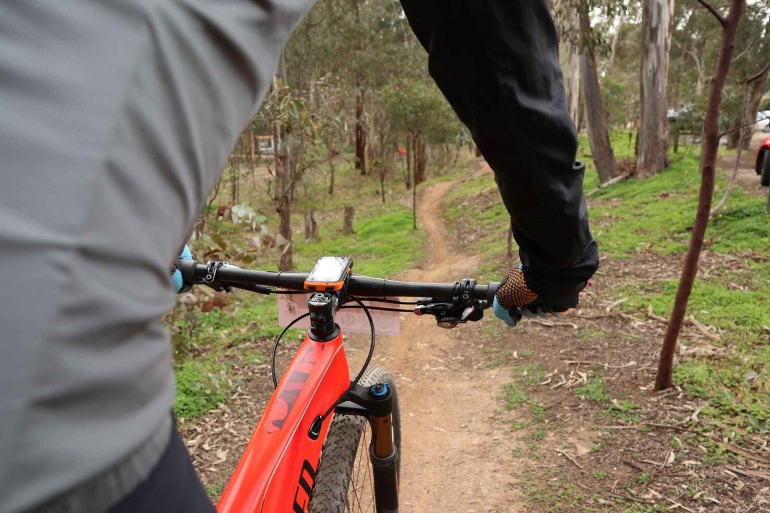 Melbourne: 1-Day Mountain Biking Adventure with Lunch