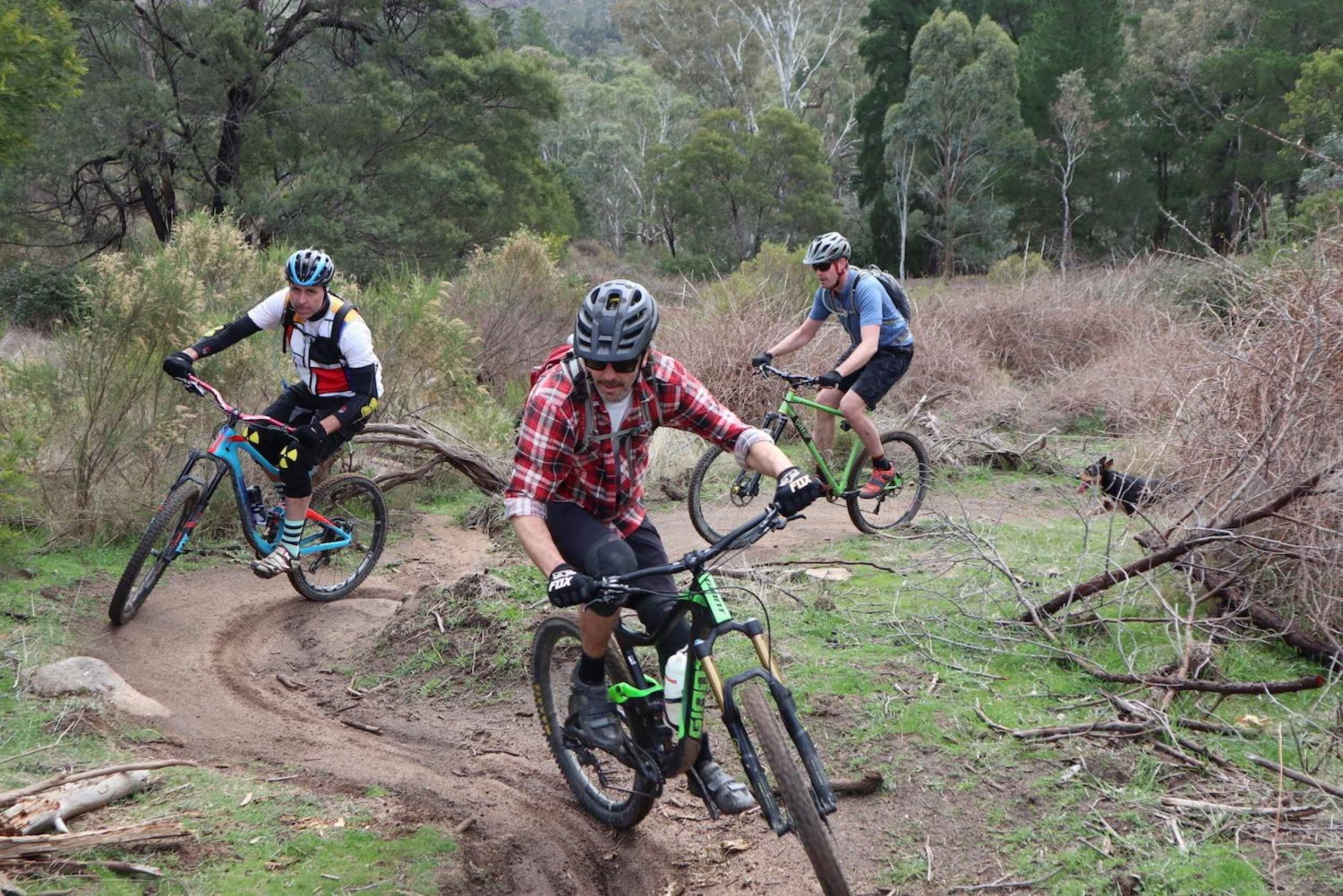 Melbourne: 1-Day Mountain Biking Adventure with Lunch