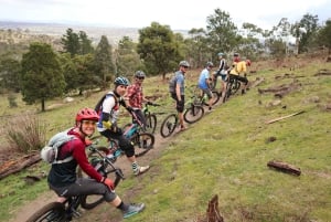 Melbourne: 1-Day Mountain Biking Adventure with Lunch