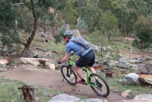 Melbourne: 1-Day Mountain Biking Adventure with Lunch