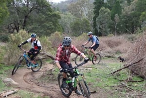 Melbourne: 1-Day Mountain Biking Adventure with Lunch