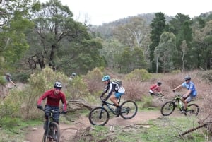 Melbourne: 1-Day Mountain Biking Adventure with Lunch