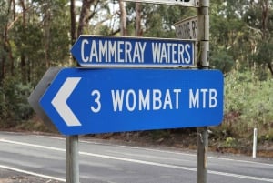 Melbourne: 1-Day Mountain Biking Adventure with Lunch