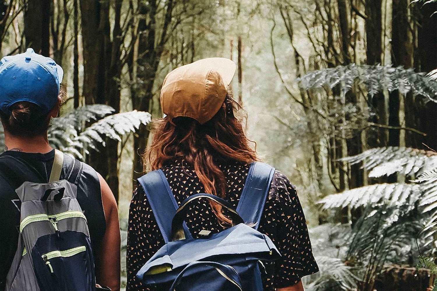 Мельбурн: 12 Апостолов, Отвейс и Великая Океанская Дорога. Однодневный тур