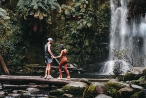 Мельбурн: 12 Апостолов, Отвейс и Великая Океанская Дорога. Однодневный тур