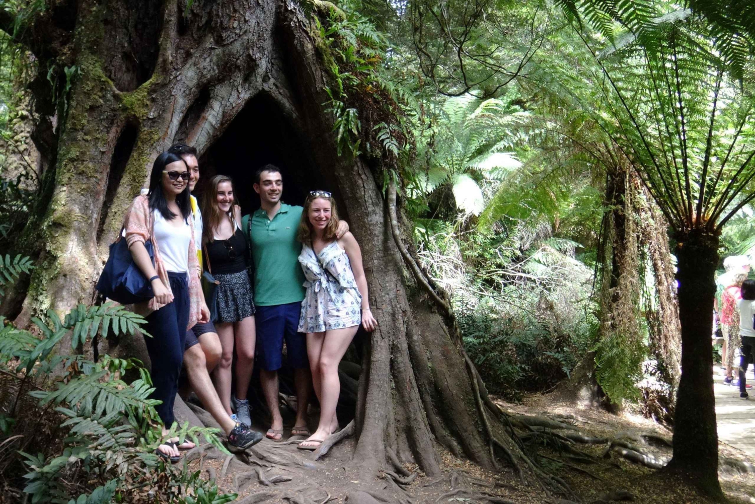 Melbourne: 12 Apostel Sunset Magic Great Ocean Road Tour