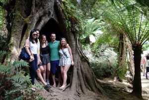 Melbourne: 12 Apostel Sunset Magic Great Ocean Road Tour