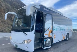 Melbourne: 12 Apostel Sunset Magic Great Ocean Road Tour