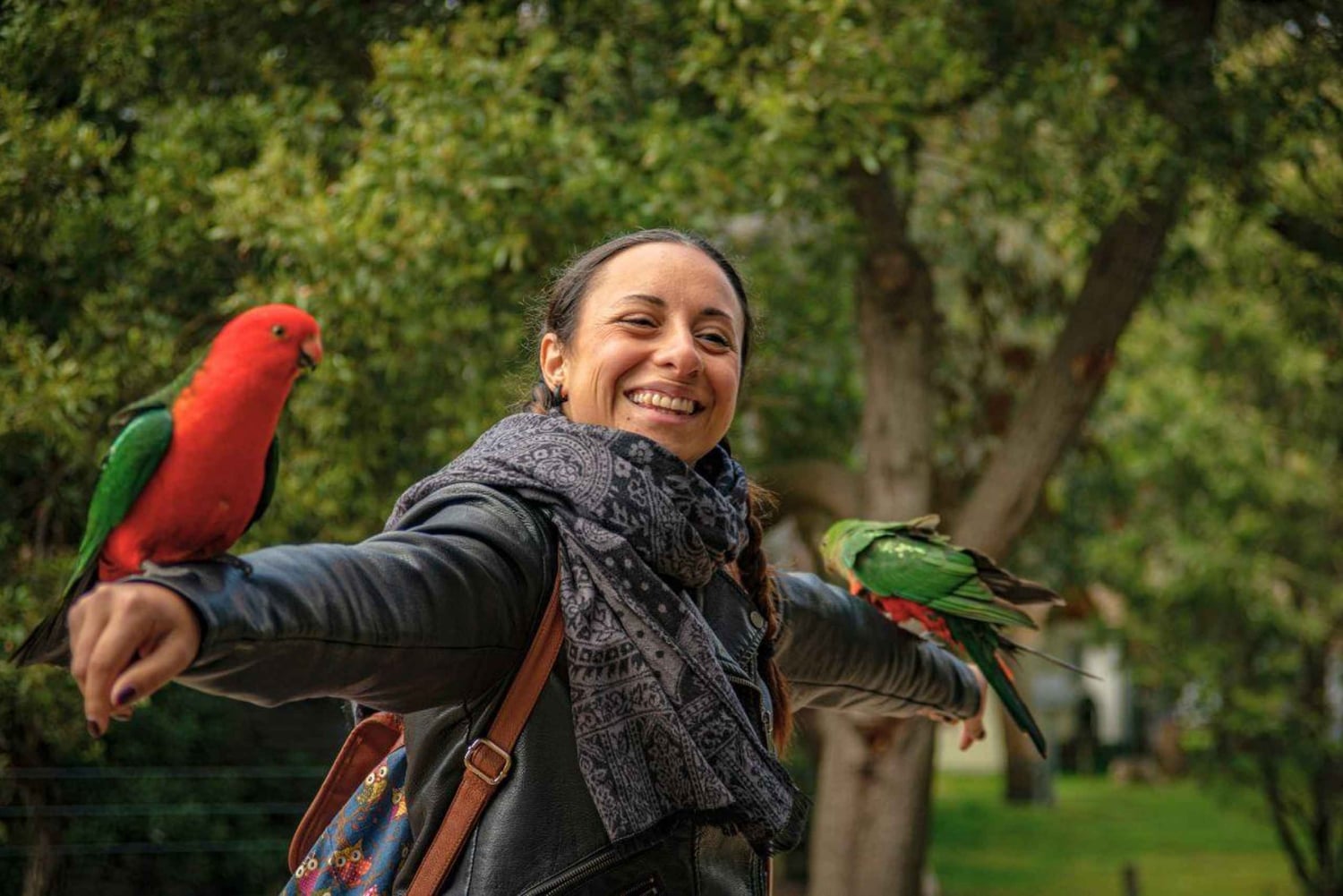 Melbourne: Excursão ao pôr do sol dos 12 Apóstolos - Menos multidões