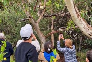 Melbourne: Excursão ao pôr do sol dos 12 Apóstolos - Menos multidões