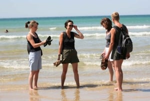 Melbourne: Excursão ao pôr do sol dos 12 Apóstolos - Menos multidões