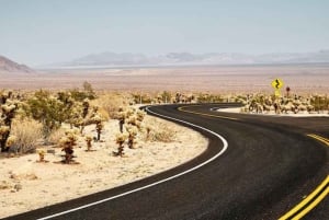 Melbourne: programma del tour di 2 notti e 3 giorni