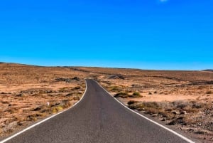 Melbourne: programma del tour di 2 notti e 3 giorni