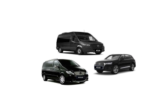 Melbourne: Airport Private Van Transfer to City