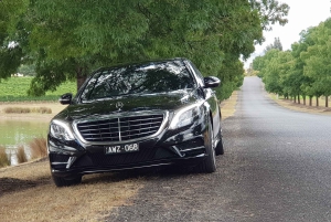 Melbourne Airport to CBD Private Transfer - 11 traveler's