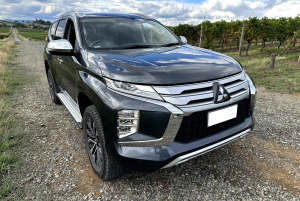 Melbourne: Transfer privato dall'aeroporto alla città (solo andata)