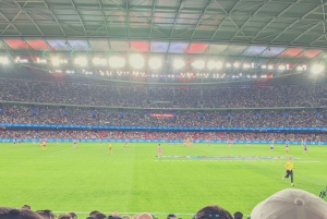 Melbourne: Australian Football (AFL) Game at Marvel Stadium