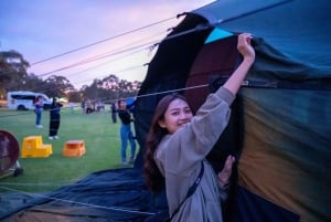 Melbourne: Balloon Flight at Sunrise with Breakfast