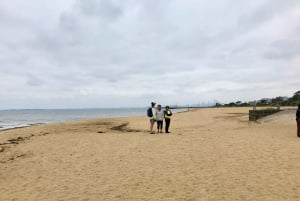 Мельбурн: велосипедный тур по заливу | Педаль в местную приморскую жизнь