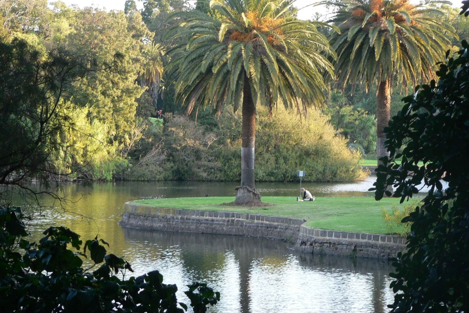 Melbourne: Botanic Gardens & Sports Precinct Walking Tour