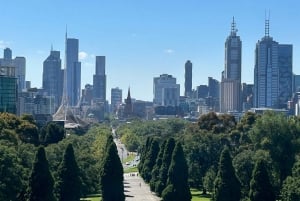 Melbourne: Botanic Gardens & Sports Precinct Walking Tour
