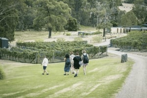 Melbourne/Mornington: Ancient Wine-Making & Cellar Doors