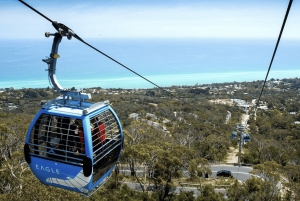 Melbourne/Mornington: Ancient Wine-Making & Cellar Doors