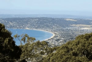 Melbourne/Mornington: Ancient Wine-Making & Cellar Doors