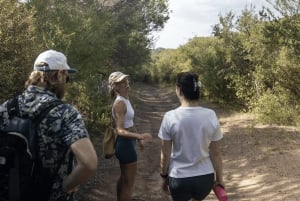 Melbourne/Mornington: Ancient Wine-Making & Cellar Doors