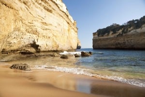 Melbourne: Ultimate Great Ocean Road Morning Escape Day Tour