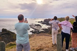 Melbourne: Boutique-Tour „Wein, Essen und Pinguine auf Phillip Island“
