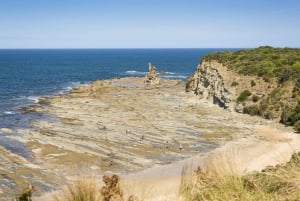 Melbourne: Bunurong Coast & Penguin Parade Day Trip