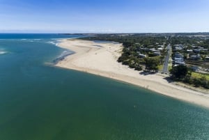 Melbourne: wycieczka 1-dniowa – Bunurong Coast i parada pingwinów