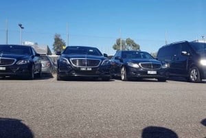 メルボルン CBD 観光プライベートツアー – 最大 14 名様まで