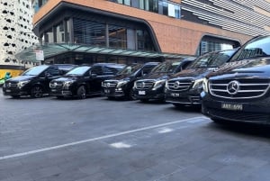 メルボルン CBD 観光プライベートツアー – 最大 14 名様まで