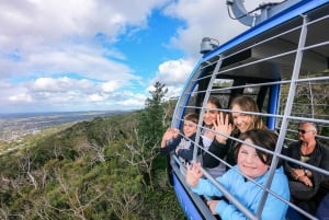 Melbourne City Card - 3 Days