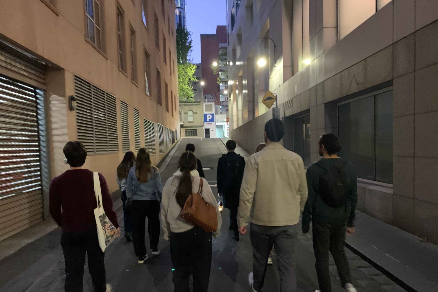 Мельбурн: пешеходная криминальная экскурсия по городу с гидом