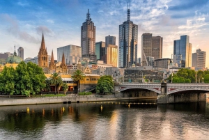 Melbourne: City Highlights Private Guided Walking Tour