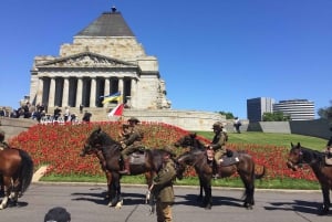 Melbourne: City Highlights Tour with St Kilda and Brighton